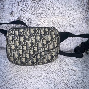 Dior saddle belt bag oblique
